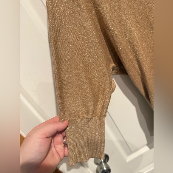 Express Shimmering Tan Long Sleeve Top - Picture 2 of 6